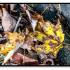 Does Compost Just Happen?